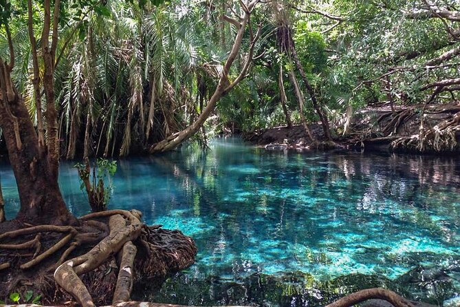 Kikuletwa Hot spring - The drive from Arusha and the value of private transport