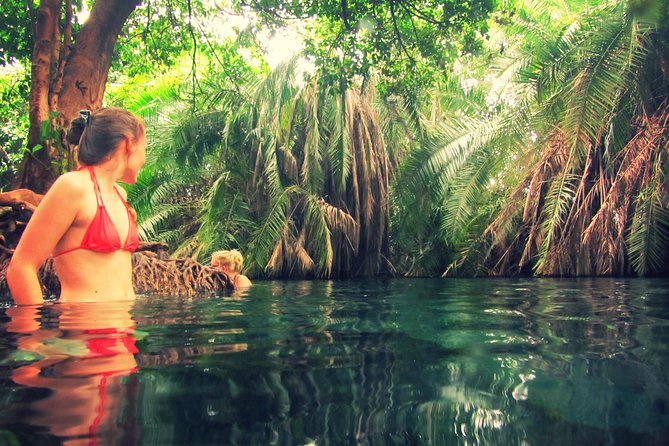 Kikuletwa Hot Spring Day Tour - The sudden arrival at the spring