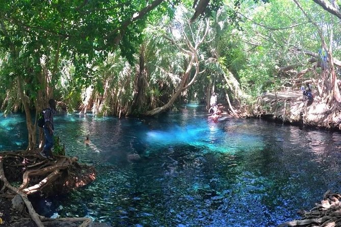 Kikuletwa Hot Spring Day Tour - What you actually do during the stop