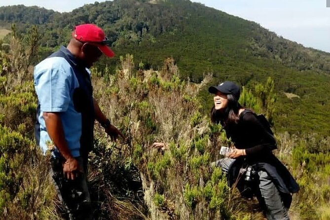 Kilimanjaro 1 Day Hike - A real Kilimanjaro taste in seven hours