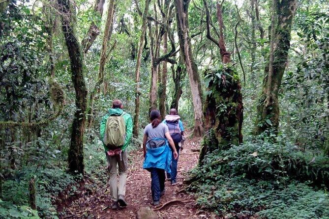 Kilimanjaro 1 Day Hike - Mandara Hut and the included lunch