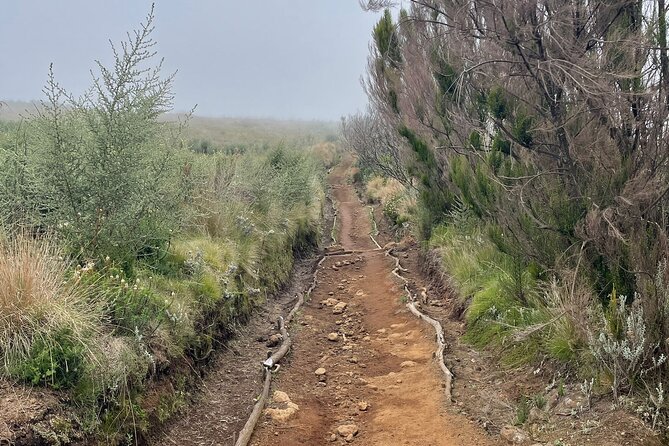 Kilimanjaro 1 Day Hike - Who gets the most from this hike