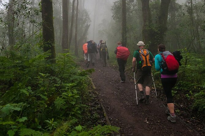 Kilimanjaro 1 Day Hike - What the $250 covers, and what it does not