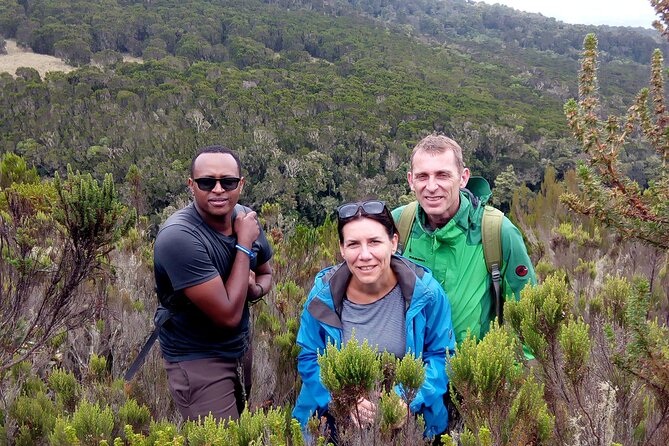Kilimanjaro 1 Day Hike - Climbing from 1,860 to 2,700 meters