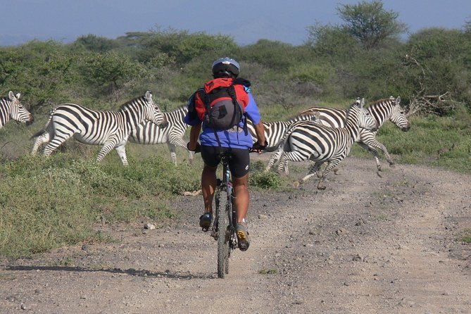 Kilimanjaro 360 - Day 7: The final 37 kilometers into Moshi