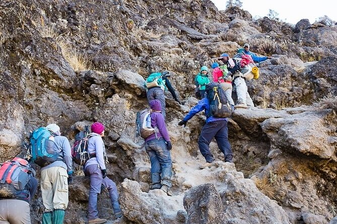 Kilimanjaro 7 Day Private Trekking Experience - Mweka Gate, a hot shower, and Moshi