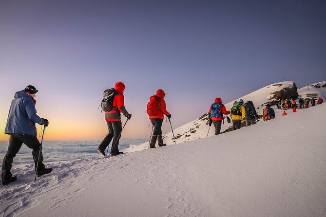 Kilimanjaro 7 Days Machame Route Private Tour - Day five: the Barranco Wall and Karanga Valley