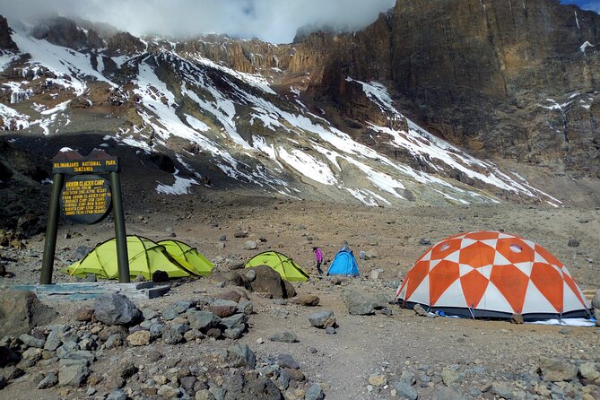 Kilimanjaro 7 Days Machame Route Private Tour - Day eight: descending through forest to Mweka Gate