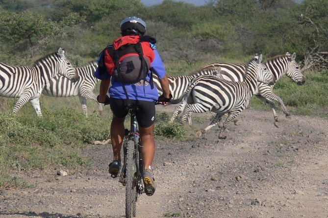 Kilimanjaro bike park safari - Key points before you book