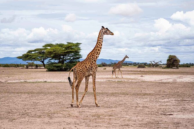 Kilimanjaro bike park safari - The practical side of an eight-hour day
