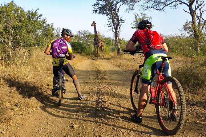 Kilimanjaro bike park safari - Why a bike safari feels different from a vehicle safari