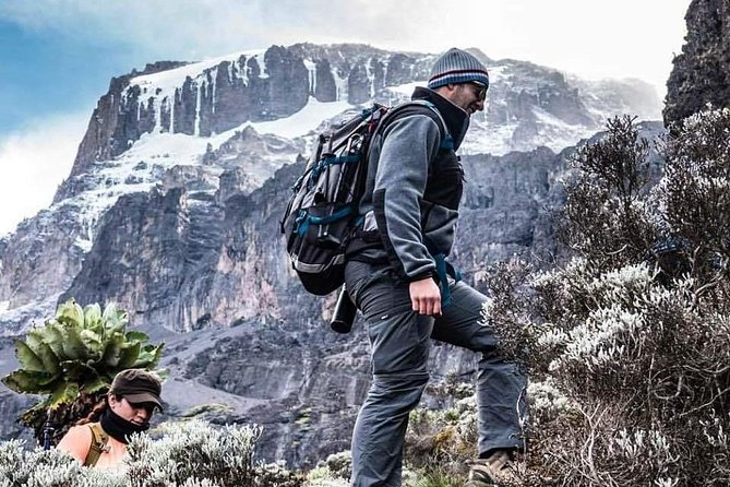 Kilimanjaro Climb - 7 Days Machame Route - Day seven: Mweka Camp to Moshi