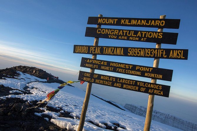 Kilimanjaro Climb - 7 Days Machame Route - Day two: Machame Camp to Shira Camp