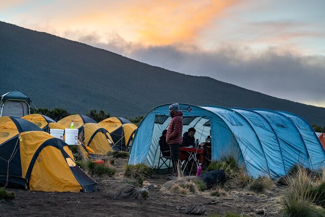 Kilimanjaro climb by Lemosho Route (7-day) - Why Lemosho is a smart route to Kilimanjaro