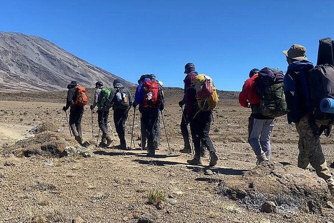Kilimanjaro Climb by Rongai Route 6 days - Day two: farms, pine forest, and the Rongai wilderness