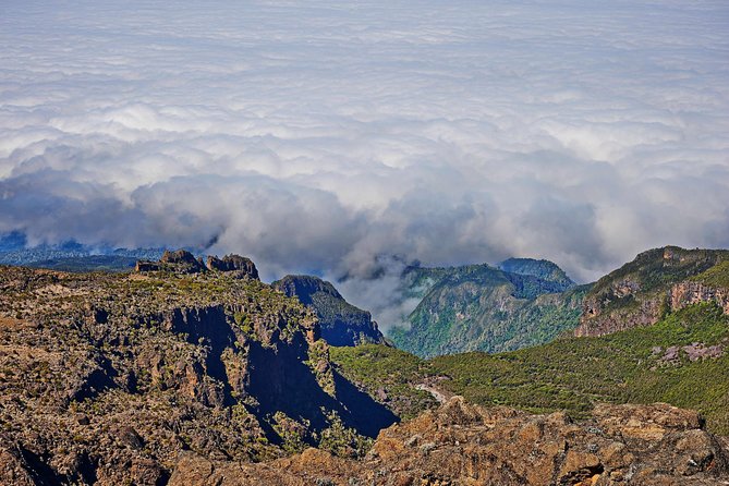 Kilimanjaro climb, Kilimanjaro Crater route (10-day) - Why the Northern Circuit is worth the extra days