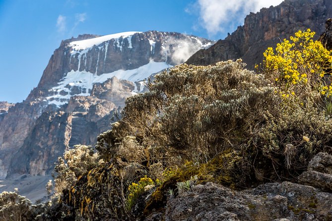 Kilimanjaro climb, Kilimanjaro Crater route (10-day) - Day 7: School Hut Camp before the summit