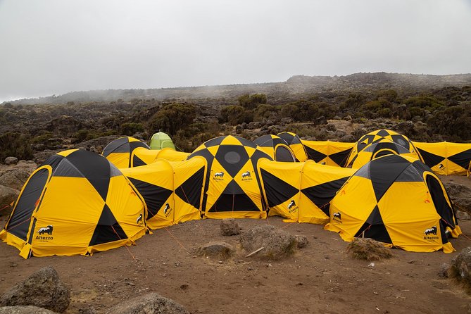 Kilimanjaro climb, Lemosho Route (6-day) - Day two: Londorossi Gate and the Shira Plateau