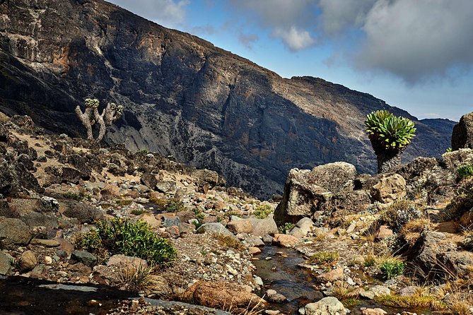 Kilimanjaro climb, Lemosho Route (8-day) - Arrival in Moshi and the first hotel night