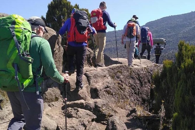 Kilimanjaro Climb- Lemosho Route - Camping and crew support on the mountain