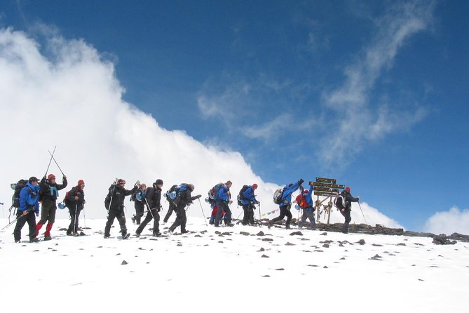 Kilimanjaro Climb • Machame Route ~ 10 Day - Day 4: leaving the trees for Shira Plateau
