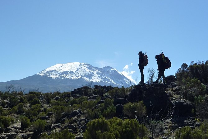 Kilimanjaro Climb • Machame Route ~ 10 Day - Day 7: Barafu Camp and the summit eve