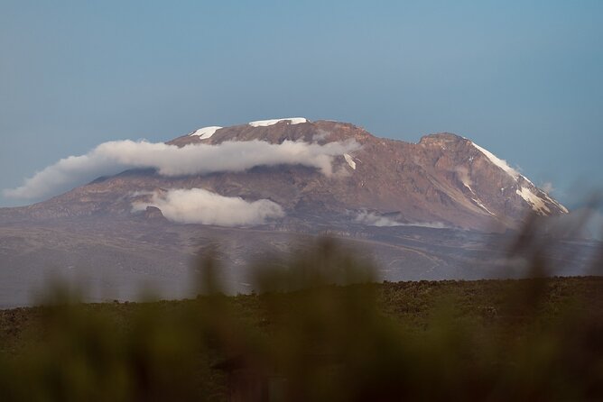 Kilimanjaro climb, Machame Route (7-day) - Day 2: Shira Camp and the first acclimatization hike