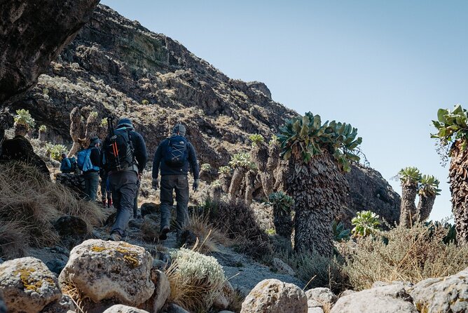 Kilimanjaro climb, Machame Route (7-day) - Day 4: Barranco Wall, Karanga Camp, and another high walk