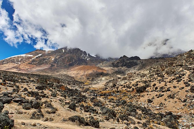 Kilimanjaro climb, Marangu route (6-day) - Day 3: Mandara Hut to Horombo Hut
