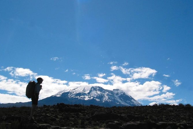 Kilimanjaro Climb • Marangu Route ~ 9 Day - Why the Marangu Route appeals to first-time climbers