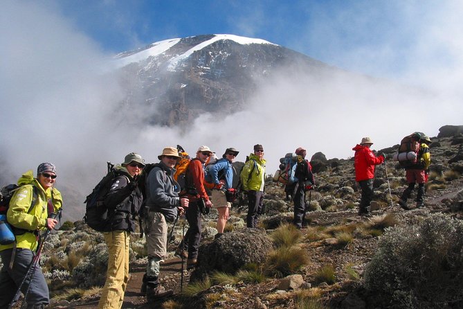 Kilimanjaro Climb • Marangu Route ~ 9 Day - Day 3: Mandara Hut through the forest