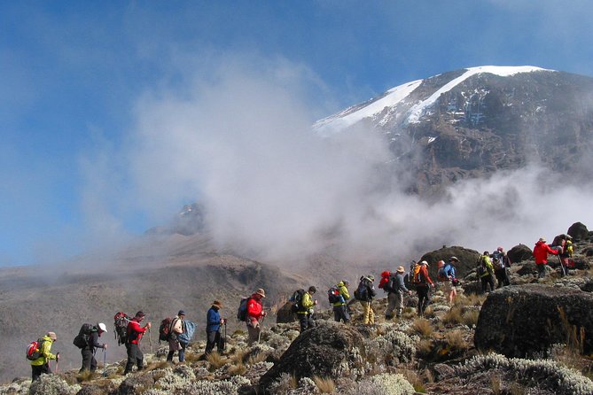 Kilimanjaro Climb • Marangu Route ~ 9 Day - Day 4: Horombo and the first big views