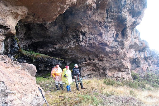 Kilimanjaro Climb • Marangu Route ~ 9 Day - Day 8: Back through the forest to Moshi