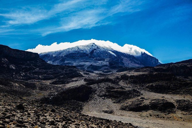 Kilimanjaro climb, Northern Circuit route (8-day) - Why the Northern Circuit is worth the extra days