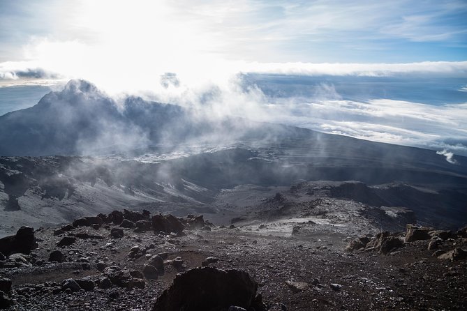 Kilimanjaro climb, Northern Circuit route (8-day) - Arrival in Moshi and the first briefing