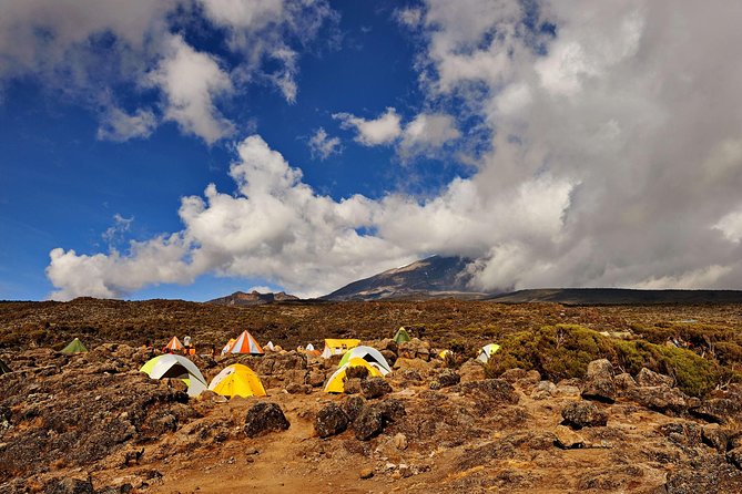 Kilimanjaro climb, Rongai Route (6-day) - What the 6-day Rongai Route is really like