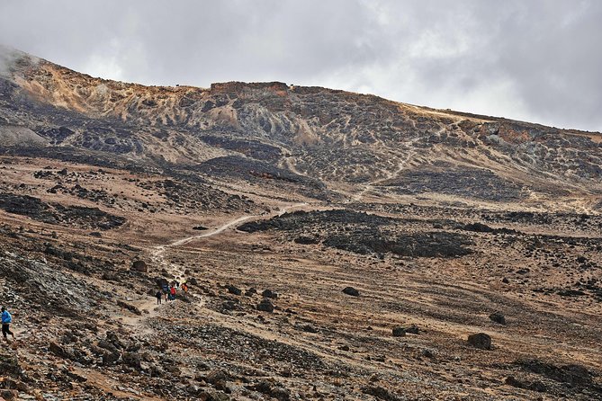 Kilimanjaro climb, Rongai Route (7-day) - Day 2: Nalemuru Gate to Simba Camp at 2,625 meters
