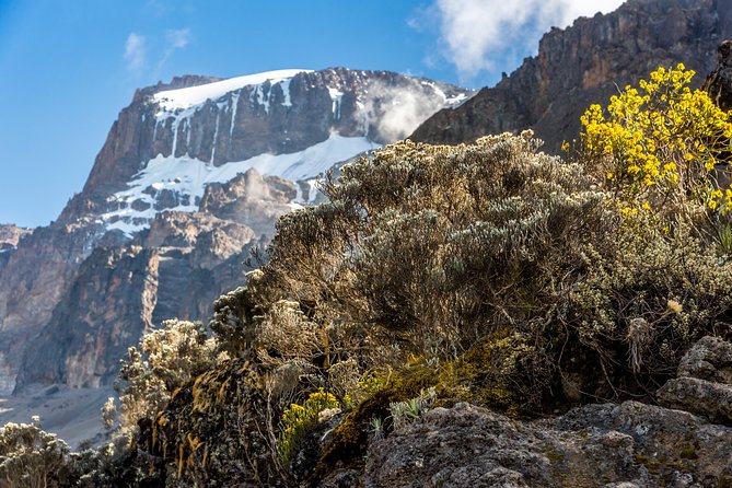 Kilimanjaro climb, Rongai Route (7-day) - Day 6: Across the rocky semidesert to summit camp