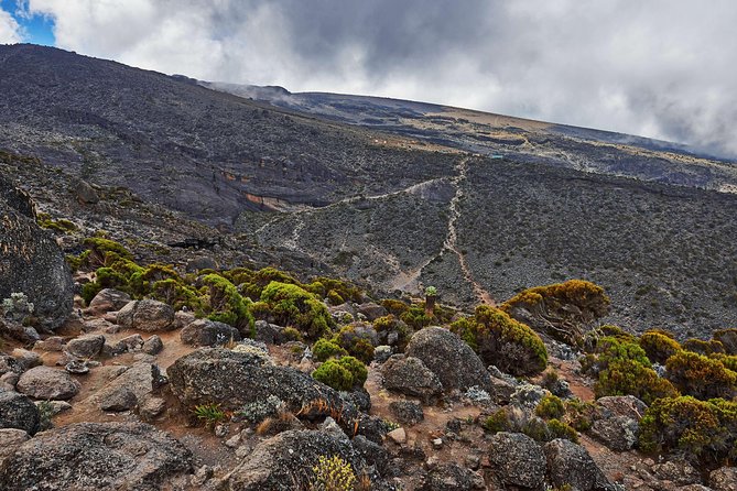 Kilimanjaro climb, Rongai Route (7-day) - Day 3: Second Cave and your first altitude exercise