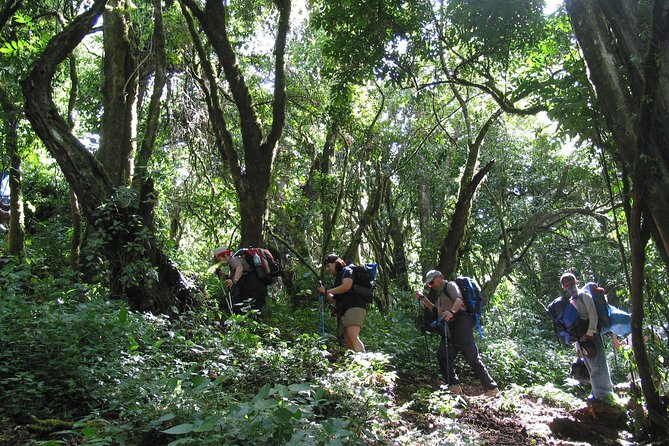 Kilimanjaro Climb & Safari - Lemosho Route - 13 Day - Days 7 and 8: Barranco Wall and the high camps