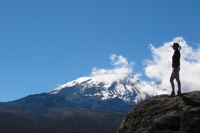 Kilimanjaro Climb & Safari - Lemosho Route - 13 Day - Day 9: the pre-dawn climb to Uhuru Peak