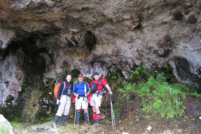 Kilimanjaro Climb & Safari - Lemosho Route - 13 Day - Days 10 and 11: a long descent and a proper finish