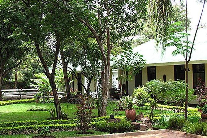 Kilimanjaro Climb & Safari - Lemosho Route - 13 Day - Moshi gives you two useful preparation days