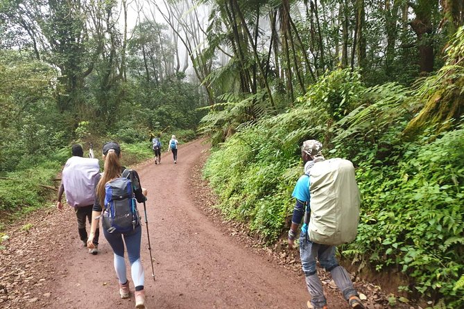 Kilimanjaro Climbing 5 days Marangu route - What the $900 price really means