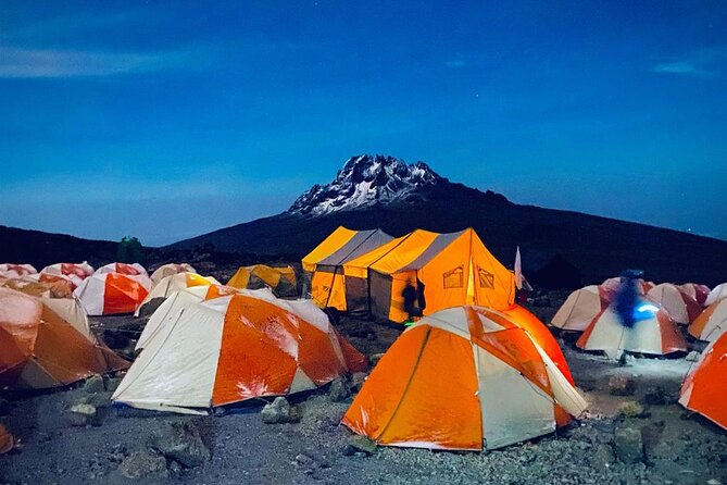 Kilimanjaro Climbing Lemosho Route 8 Days. - Day 2: from Londorossi Gate into the rainforest
