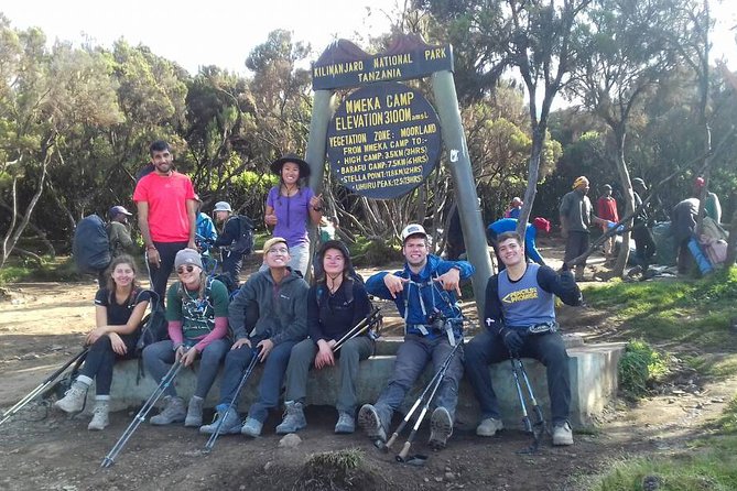 Kilimanjaro Climbing Rongai Route - Day 2: Second Cave Camp at 3,450 meters