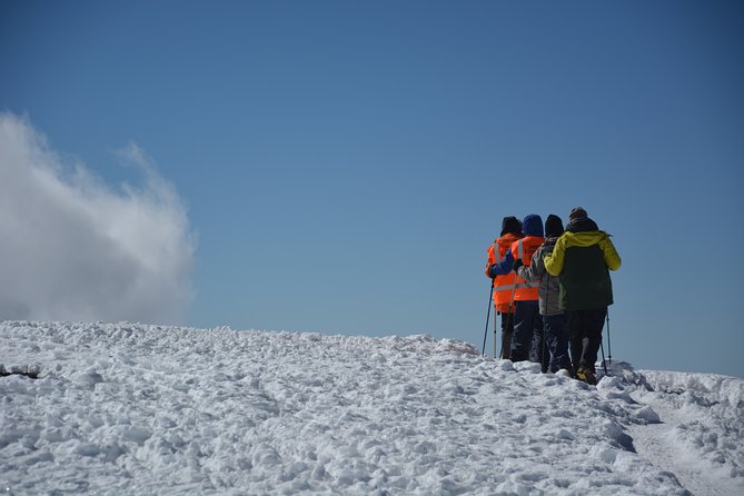 Kilimanjaro Climbing Rongai Route - Day 6: Gilman’s Point, Uhuru Peak, and Horombo