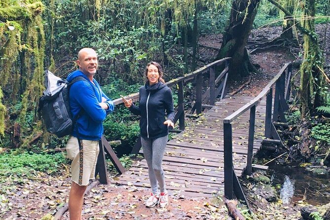 Kilimanjaro Day Hike - Why a Kilimanjaro day hike makes sense