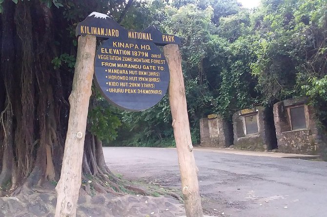 Kilimanjaro Day Hike - The climb toward Mandara Hut