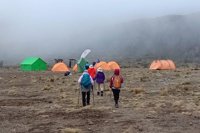 Kilimanjaro Experience 7 Days Lemosho route - Day 2: Shira Ridge and the first big open views